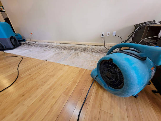 Professional Sewage Cleanup technician working in Payson, UT